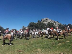 excursiones a caballo en madrid