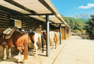 paseos a caballo madrid 2019