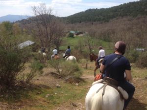 Monta a Caballo en Madrid: Una actividad repleta de magia