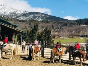 El regalo de comunión perfecto en 2018: Paseo a caballo en Madrid