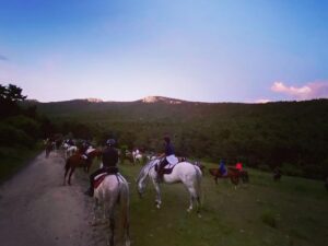 excursion caballos madrid